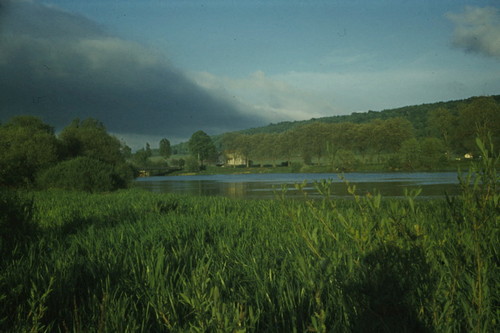 vegetation Meuse